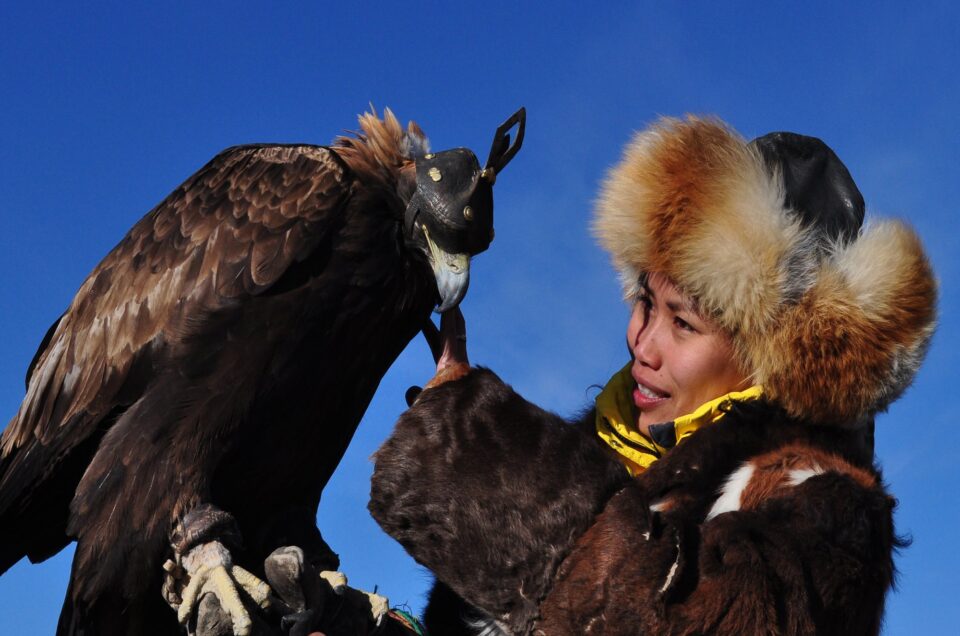 La tradizione della falconeria in Mongolia